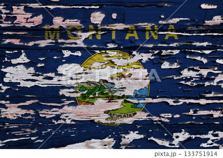 Flag of Montana on a wooden board 133751914