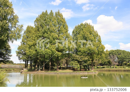 埼玉県上尾市の丸山公園の風景 133752006