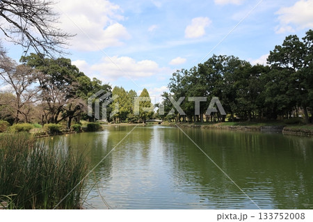 埼玉県上尾市の丸山公園の風景 埼玉県上尾市の丸山公園の風景 133752008