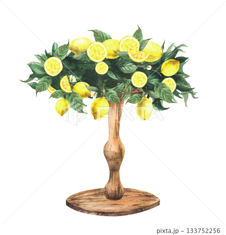 Wooden stand decorated with lemon branches, citrus fruits and leaves. Hand drawn watercolor table for bakery dessert, wedding cake, festive decor, birthday party isolated from background illustration 133752256