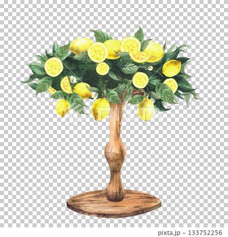 Wooden stand decorated with lemon branches, citrus fruits and leaves. Hand drawn watercolor table for bakery dessert, wedding cake, festive decor, birthday party isolated from background illustration 133752256