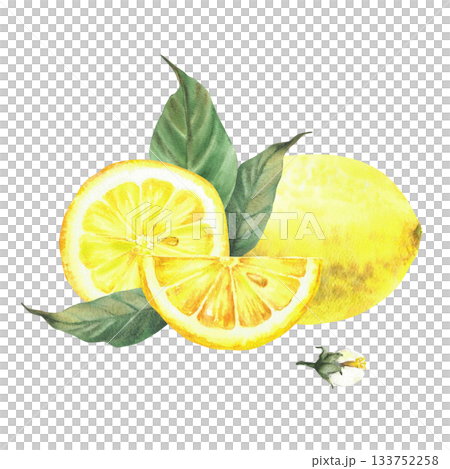 Watercolor lemon Whole and cut slices, lemon wedges with green leaves and flowers. Yellow citrus fruit Realistic painted illustration for product design, food, drink label isolated from background Watercolor lemon Whole and cut slices, lemon wedges with green leaves and flowers. Yellow citrus fruit Realistic painted illustration for product design, food, drink label isolated from background 133752258