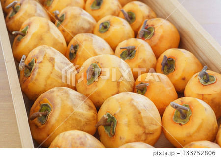 干し柿を作る・枝をT字型に残し皮を剥いた柿 133752806