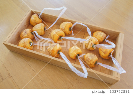 干し柿を作る・枝をT字型に残し皮を剥いた柿に紐をつける 干し柿を作る・枝をT字型に残し皮を剥いた柿に紐をつける 133752851