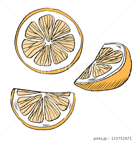 Chopped Lemon Slices Cartoon Vector Illustration 133752971