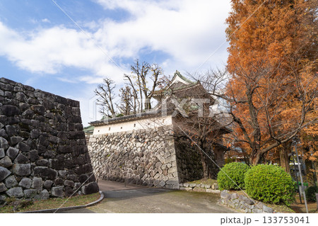 富山市佐藤記念美術館の城壁（富山城跡公園） 133753041
