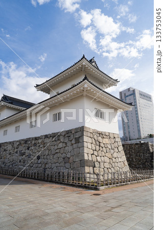 天守閣(富山城跡公園) 天守閣(富山城跡公園) 133753045