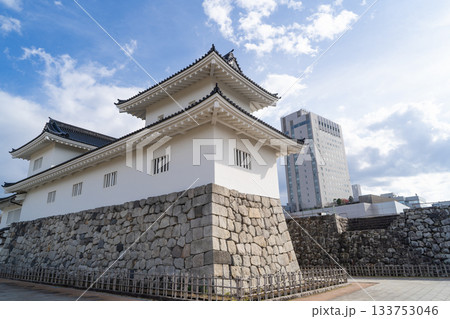 天守閣（富山城跡公園） 133753046