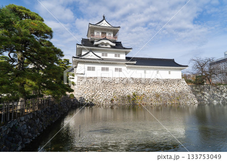天守閣（富山城跡公園） 133753049