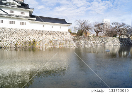 天守閣（富山城跡公園） 133753050