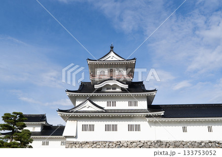 天守閣（富山城跡公園） 133753052