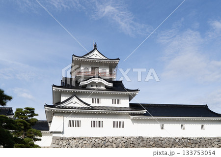 天守閣（富山城跡公園） 133753054