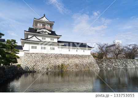 天守閣（富山城跡公園） 133753055