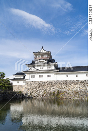 天守閣（富山城跡公園） 133753057