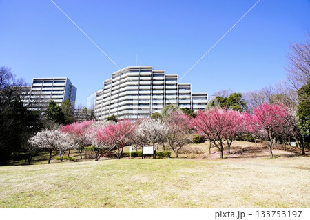 山田富士公園 133753197