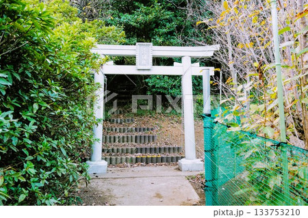 池辺富士 浅間社 池辺富士 浅間社 133753210