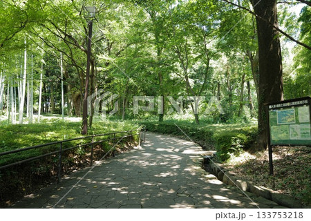 大塚・歳勝土遺跡公園 133753218