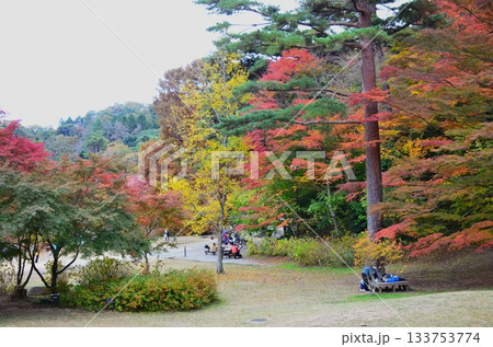 六甲山の秋 六甲山の秋 133753774