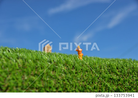 カメラで写真を撮る女性のイメージ 133753941