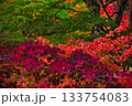 紅葉 133754083