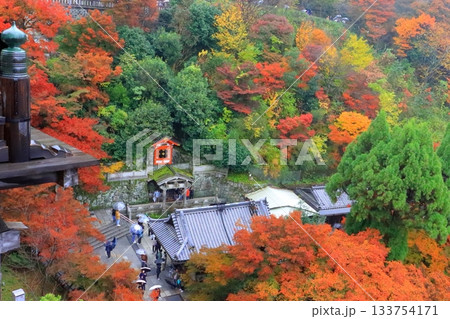 秋の清水寺(本堂舞台より・京都市) 秋の清水寺(本堂舞台より・京都市) 133754171