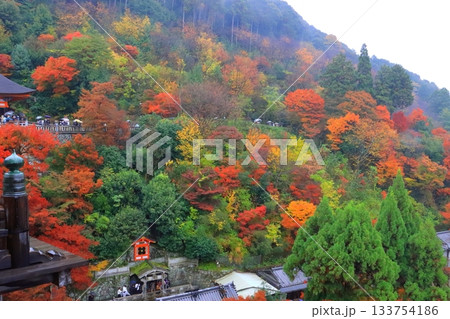 秋の清水寺(本堂舞台より・京都市) 秋の清水寺(本堂舞台より・京都市) 133754186