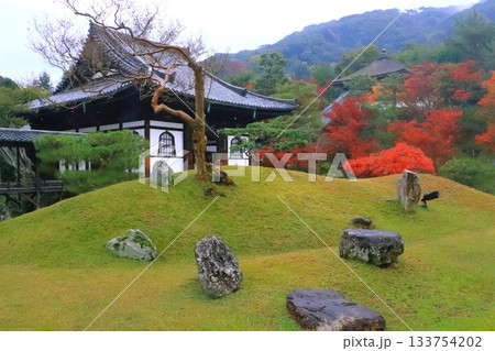 秋の高台寺（開山堂・京都市） 133754202