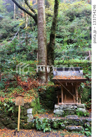 秋の貴船神社(連理の杉・奥宮・京都市・縦構図) 秋の貴船神社(連理の杉・奥宮・京都市・縦構図) 133754246