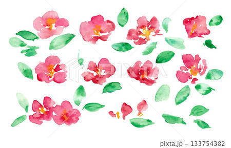 椿の和風年賀状フレーム。水彩画。水彩タッチのベクター和風背景。 133754382