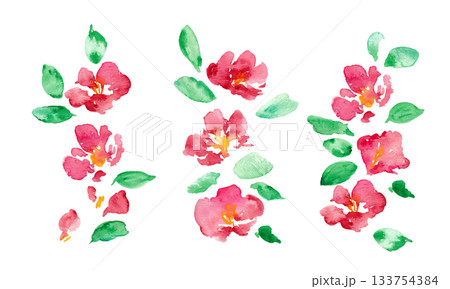 椿の和風年賀状フレーム。水彩画。水彩タッチのベクター和風背景。 椿の和風年賀状フレーム。水彩画。水彩タッチのベクター和風背景。 133754384