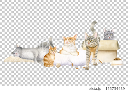Watercolor cats horizontal isolated illustration. Hand drawn clip art with cute orange, gray and brown animals in various poses for pet lovers, funny kitty designs and rescue centers 133754489
