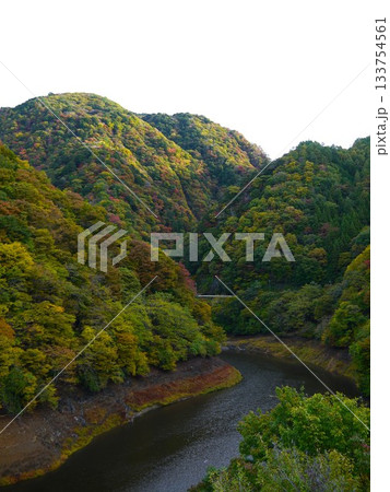 荒川ダム周辺の紅葉 133754561