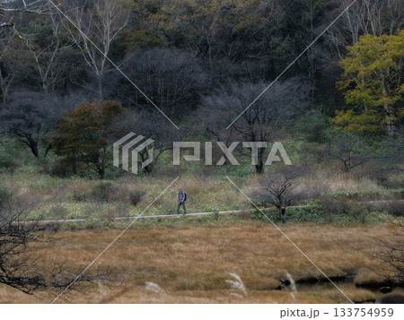 覚満淵（赤城山）遊歩道 133754959