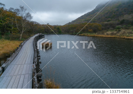 覚満淵（赤城山）遊歩道 133754961