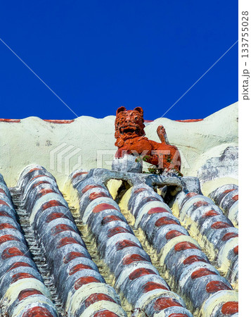 青空に映える赤瓦屋根と素朴なシーサー（沖縄） 133755028
