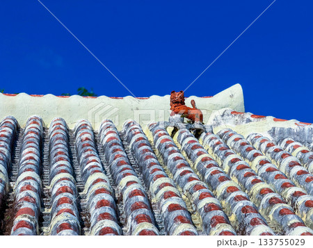 青空に映える赤瓦屋根と素朴なシーサー（沖縄） 133755029