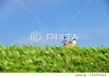 手をつないで仲良く歩く親子イメージ 133755433