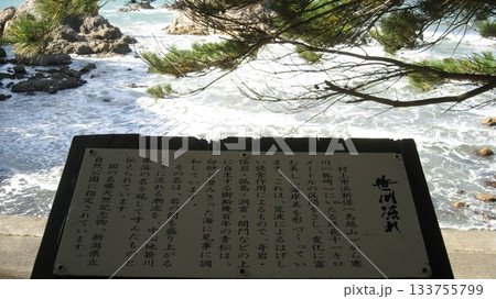 眼鏡岩海岸展望台の笹川流れ案内看板 眼鏡岩海岸展望台の笹川流れ案内看板 133755799