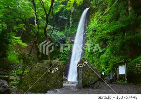 夏の養老の滝(Yoro Falls in summer)	 133757448