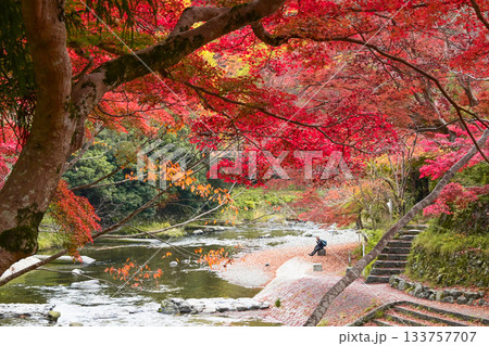 紅葉の中の川辺で休憩する人 133757707