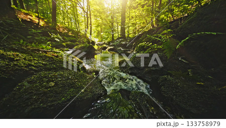 Forest stream with clear flowing water and soft birdsong. Relaxing natural ambience captured in a peaceful woodland setting, perfect for meditation and nature themes. 133758979