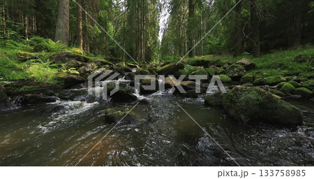 Forest stream with clear flowing water and soft birdsong. Relaxing natural ambience captured in a peaceful woodland setting, perfect for meditation and nature themes. Forest stream with clear flowing water and soft birdsong. Relaxing natural ambience captured in a peaceful woodland setting, perfect for meditation and nature themes. 133758985