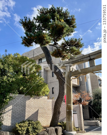 阿部野神社 阿部野神社 133759531