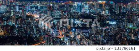 無数のビルの灯りが輝く東京の夜景パノラマ 無数のビルの灯りが輝く東京の夜景パノラマ 133760161