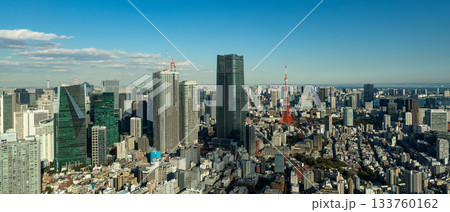 澄んだ青空の下に広がる東京の高層ビル群と東京タワーの眺望 澄んだ青空の下に広がる東京の高層ビル群と東京タワーの眺望 133760162