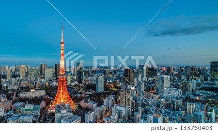 夜の東京タワーが輝く東京の夜景パノラマ 133760403
