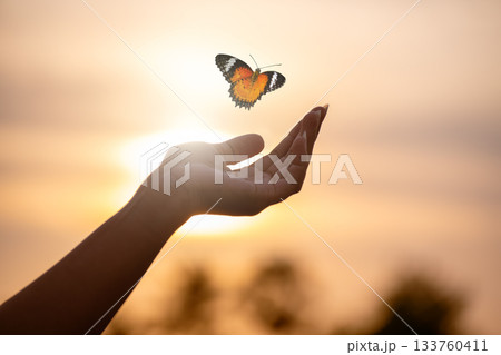 Butterfly Resting on Finger Tip Against Golden Sunset Sky. Butterfly resting finger tip hand touch freedom inspiration nature concept hope serenity golden sunset sunrise silhouette sky background anim Butterfly Resting on Finger Tip Against Golden Sunset Sky. Butterfly resting finger tip hand touch freedom inspiration nature concept hope serenity golden sunset sunrise silhouette sky background anim 133760411