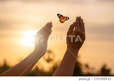 Butterfly Resting on Finger Tip Against Golden Sunset Sky. Butterfly resting finger tip hand touch freedom inspiration nature concept hope serenity golden sunset sunrise silhouette sky background anim Butterfly Resting on Finger Tip Against Golden Sunset Sky. Butterfly resting finger tip hand touch freedom inspiration nature concept hope serenity golden sunset sunrise silhouette sky background anim 133760412