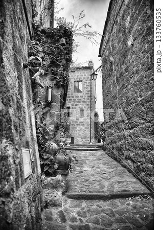 Narrow Stone Alley in Historic Civita di Bagnoregio with Lush Narrow Stone Alley in Historic Civita di Bagnoregio with Lush 133760535
