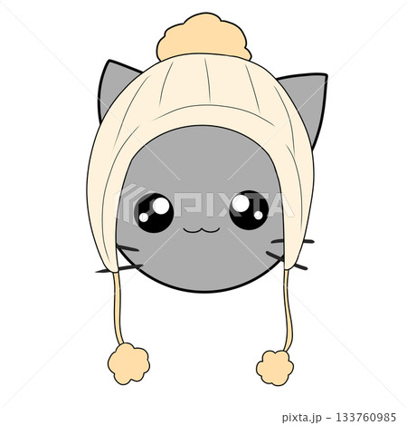 ニット帽 猫 冬 ニット帽 猫 冬 133760985